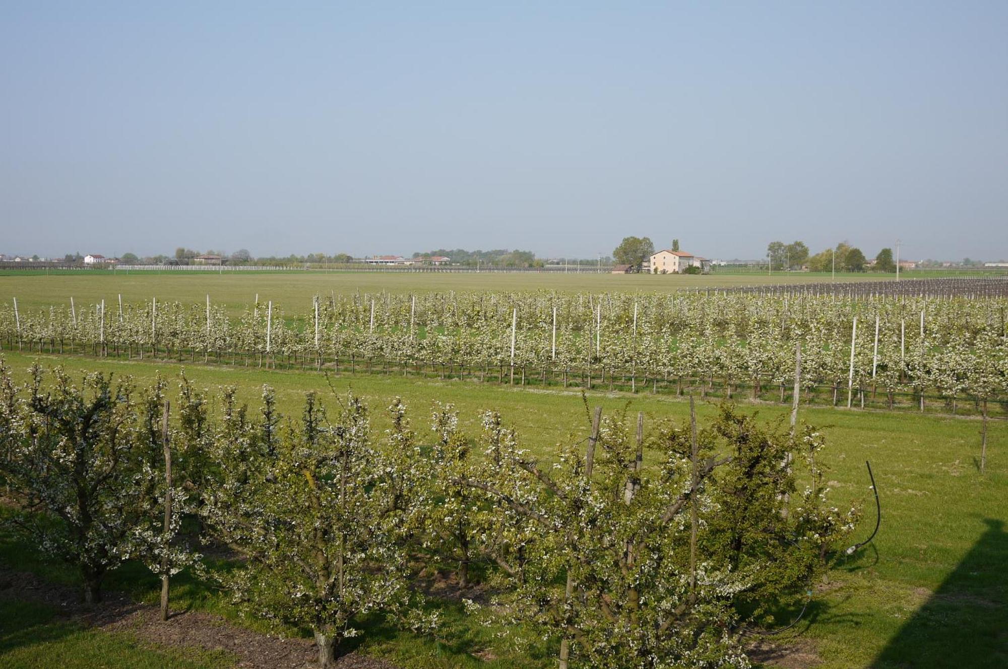 Agriturismo Mongiorgi "I Salici" Anzola dell'Emilia Exterior foto